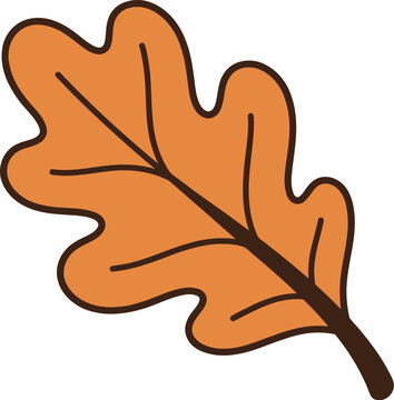 A vibrant and detailed vector illustration of a single autumn oak leaf perfect for thanksgiving themed designs fall celebrations and seasonal artwork offering