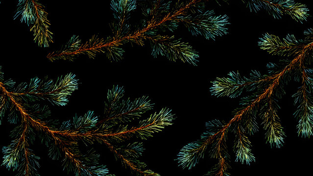 Christmas pine branch textures and festive evergreen foliage background collection