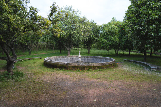 Old circular fountain in a park with orange trees Elvas Portugal