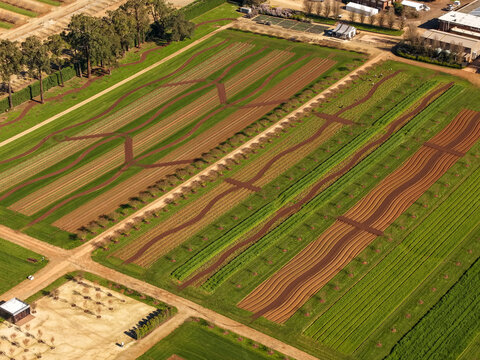Aerial view of The Tulip Garden Nursery Pty Ltd featuring rows of cultivated flower beds, winding paths, and lush green fields in Silvan, Victoria, Australia.