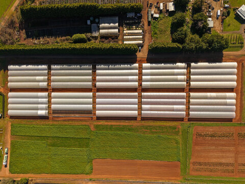 Aerial view of The Tulip Garden Nursery Pty Ltd featuring rows of white plastic greenhouses surrounded by agricultural fields in Silvan, Victoria, Australia.