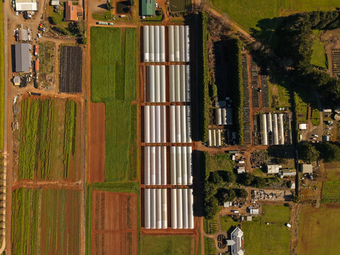 Aerial view of The Tulip Garden Nursery Pty Ltd featuring rows of greenhouses, cultivated fields, and surrounding rural landscape in Silvan, Victoria, Australia.