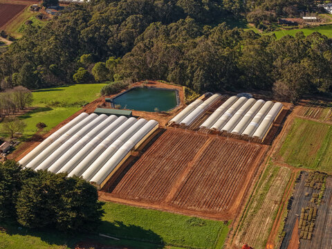 Aerial view of The Tulip Garden Nursery Pty Ltd featuring rows of greenhouses, a water reservoir, and cultivated fields surrounded by trees in Silvan, Victoria, Australia.