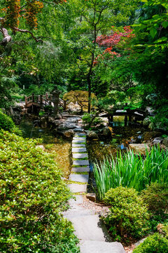 Shaded pathway creates a tranquil route through Hillwood Japanese garden landscape.