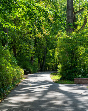 path in the park