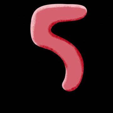 Red Number 5 2.5D Cel Shaded Liquid Morphing Typography Animation with Alpha Channel