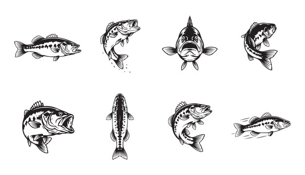 bass fish vintage style hand drawn collection for fishing and outdoor sport design.