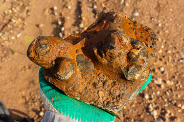 Silicified brachiopod fossils embedded in an iron-rich rock fragment held by a hand in a glove against a rustic quarry ground, showcasing ancient marine prehistoric life artifacts © PhotoChur