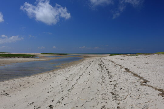 Estuary reveals white sands and tide pools along the tidal flats of Cape Cod