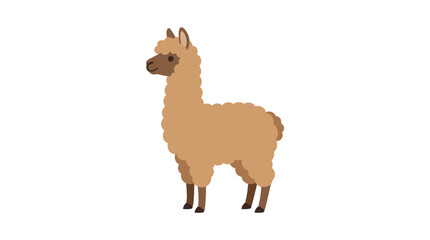 Tan llama illustration with a white background standing in profile © Vector Hub24