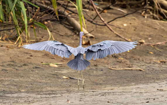 Easy landing