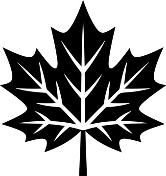 Maple Leaf Botanical Icon &ndash; Solid Black and White Vector