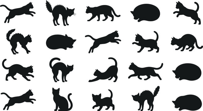Black silhouette vector collection of cats in multiple poses including sitting, stretching, running, and sleeping