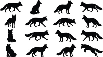 Fototapeta premium Black silhouette vector collection of foxes in multiple poses including sitting, standing, walking, running, and jumping