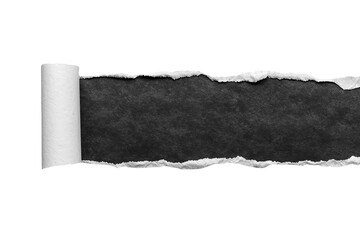 Obraz premium Long Rolled Black Torn Paper Strip