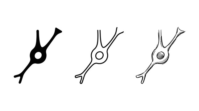 Bipolar Neuron Cell Structure Vector Icon in Solid, Outline, and Hand-Drawn Sketch Styles, Neuroscience Diagram