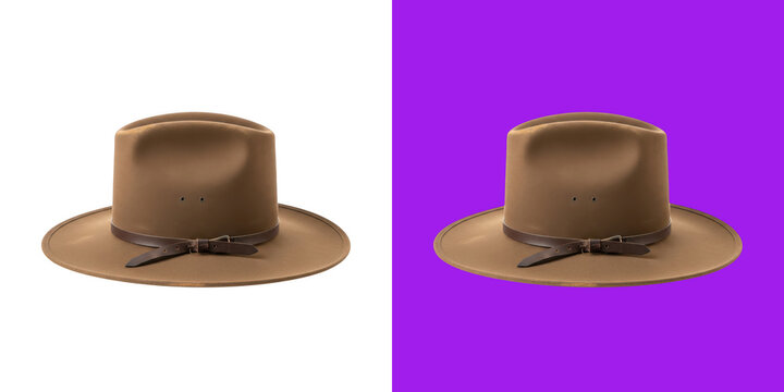 Classic Brown Felt Fedora Hat with Leather Strap