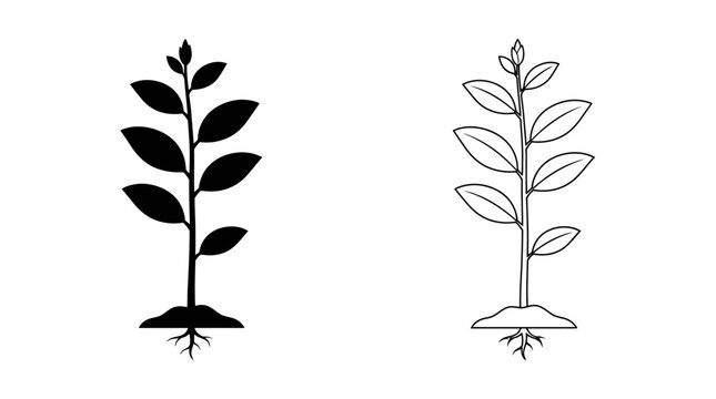 Young plant silhouette with roots and leaves black and white graphic