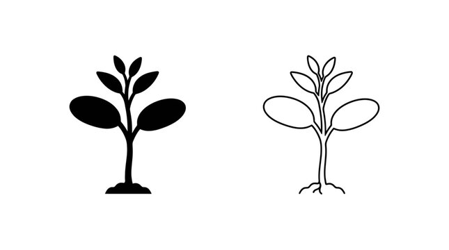 Seedling silhouettes depict plant growth with simple black and white lines