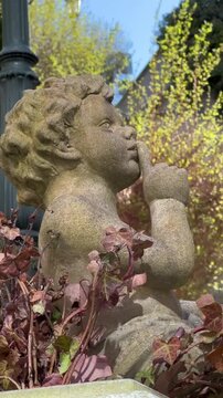 Weathered Stone Cherub Statue Among Flowers