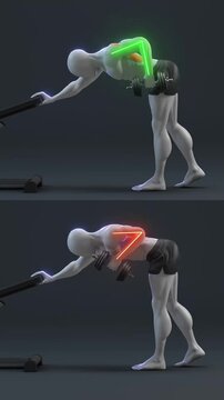 Digital animation showing proper dumbbell row form for muscular development using 3d motion graphics with highlight overlays in this clip