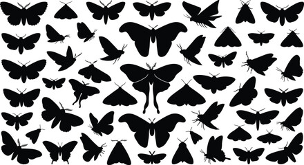 Black silhouette vector collection of moths and butterflies with diverse wing shapes and styles © MSTBRISTY