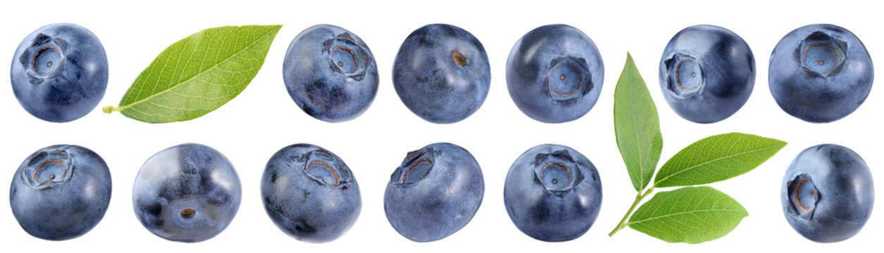 Fresh blueberries and green leaves isolated on white, set