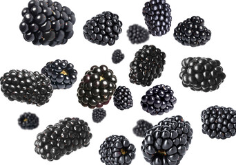 Fresh ripe blackberries flying in air against white background © New Africa