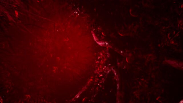 A vivid red scene unfolds with intricate shapes and swirling textures creating a fantastical atmosphere. Shadows and lights play together, evoking a sense of mystery and allure.