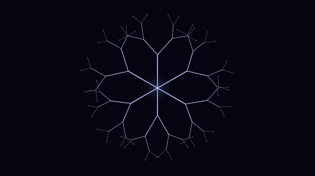 Digital Snowflake Fractal Growth Animation