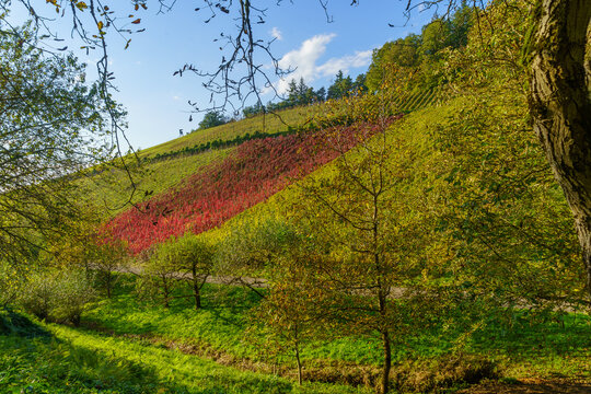Countryside landscape in the Black Forest