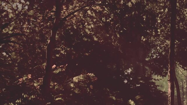 A lush forest comes alive with sunlight filtering through the thick foliage. Leaves shimmer as the gentle breeze rustles branches, creating a peaceful atmosphere in natures embrace.