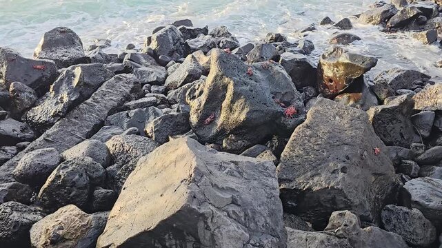 Galapagos Islands ocean shore with large rocks and distant sally lightfoot crabs