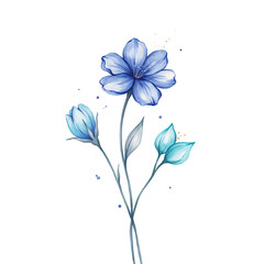 Obraz premium A delicate blue flower with two buds on a white background, isolated on a, transparent background