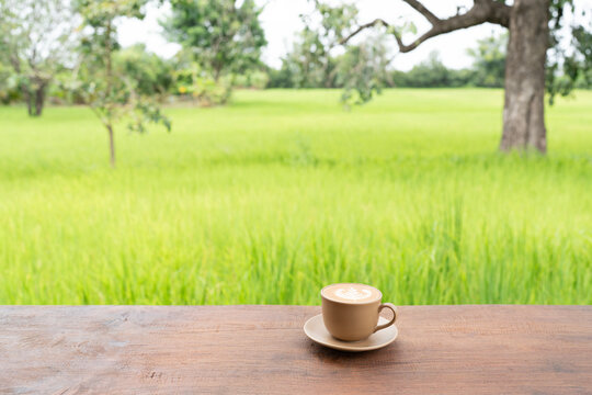 Cappuccino Coffee cup with rice field