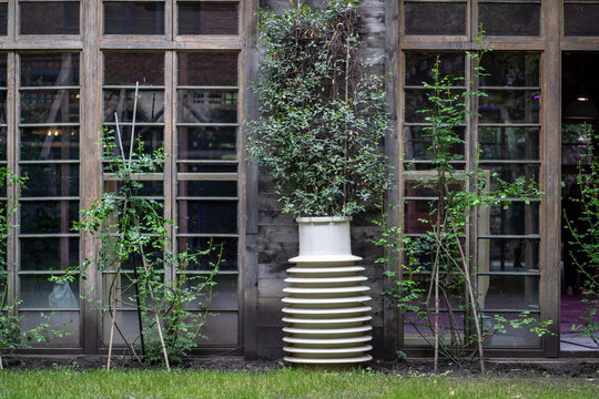 Porcelain electrical insulator is creatively repurposed as a planter for a climbing vine beside a wooden building, forming an unusual garden design feature for a restaurant or country home.