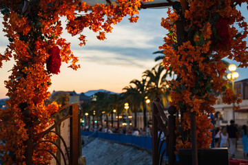 Evening view of the promenade and palm trees in Nice, France, framed by vibrant orange and red flowering bougainvillea arch during golden hour. © Dmitri