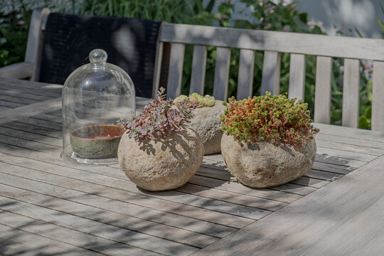 Sukkulenten und Sedum in rustikalen Pflanzgef&auml;&szlig;en