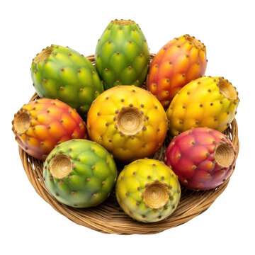 Fresh prickly pear cactus fruits in a round basket isolated on transparent background