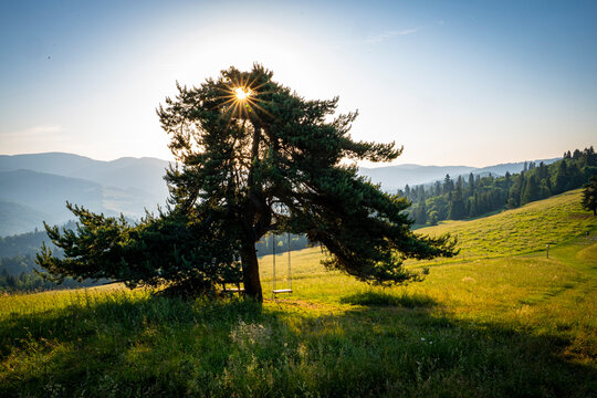 Polskie G&oacute;ry Pieniny, Małopolska, lato, wsch&oacute;d słońca.