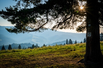Pieniny, polskie góry, Małopolska, Sądeckie © Maciej G. Szling