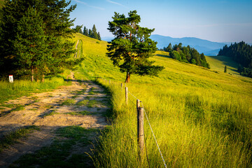 Pieniny, polskie góry, Małopolska, Sądeckie © Maciej G. Szling
