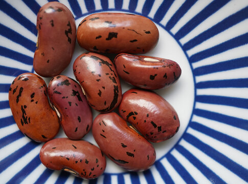 Close-up of colorful fire bean seeds with distinctive red and white patterns, showing the natural texture and unique markings of the dried seeds.