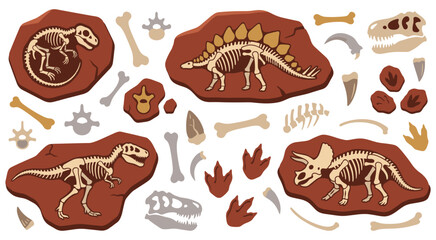 Dinosaur fossil set with ancient skeletons and bones. © Amir