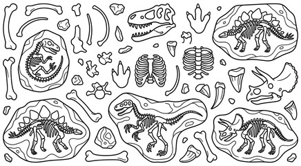 Dinosaur fossils black outline set with various bones. © Amir