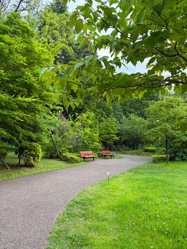 緑が多い公園のベンチ