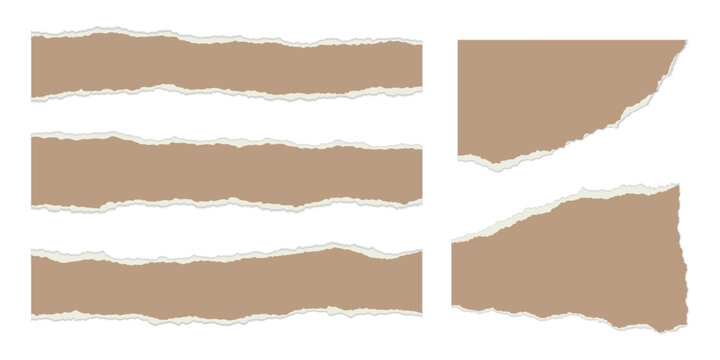 Torn paper edges with realistic ripped texture. White sheet fragments, vector scrap pieces perfect for scrapbook frames, notebook pages, and creative design projects.