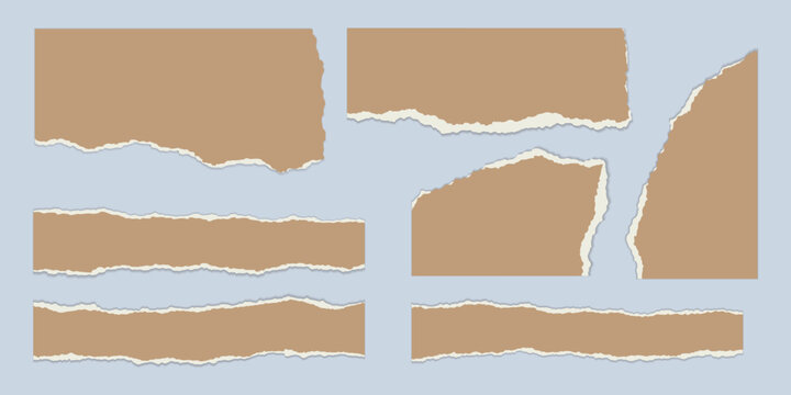Torn paper edges with realistic ripped texture. White sheet fragments, vector scrap pieces perfect for scrapbook frames, notebook pages, and creative design projects.