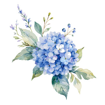 Beautiful blue hydrangea flowers with green leaves and small berries in watercolor style creating a delicate floral composition.