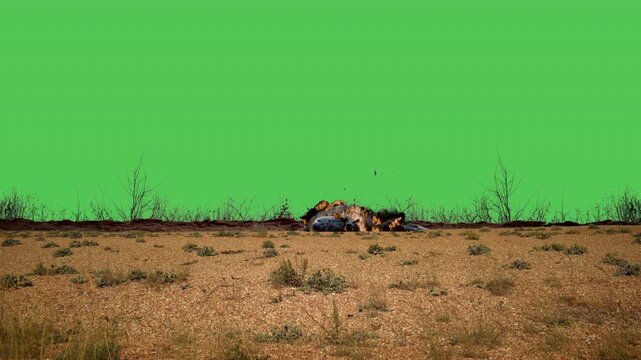 Jet plane crash in the desert green screen